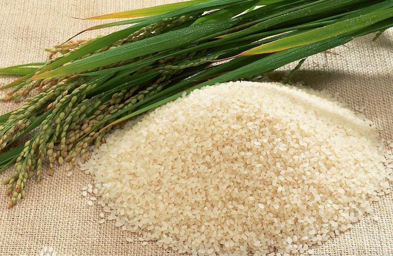 荆门报价合理的大米批发较好的荆门优质大米